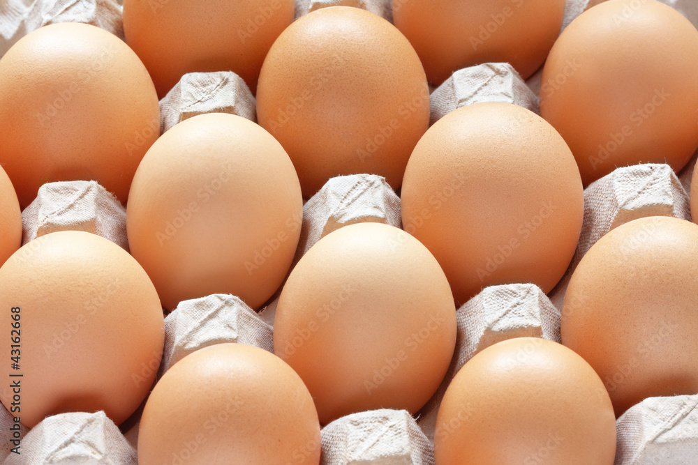 Brown eggs in carton tray Brown eggs in carton tray