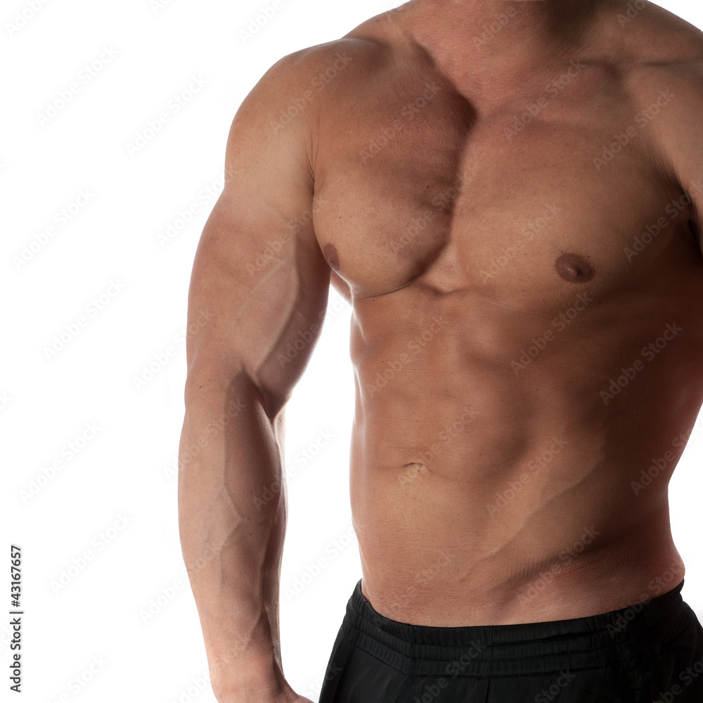 bodybuilder bodybuilder