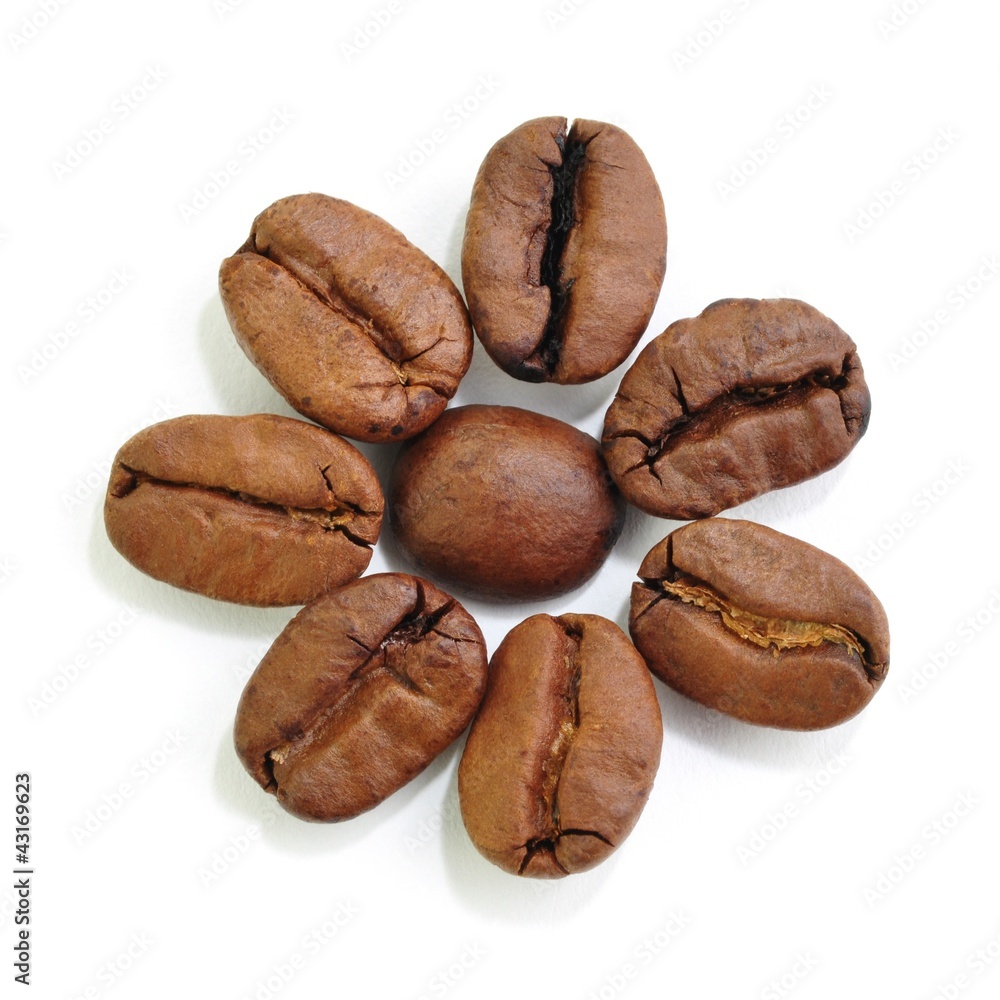 Obraz premium Bohnen, Kaffee