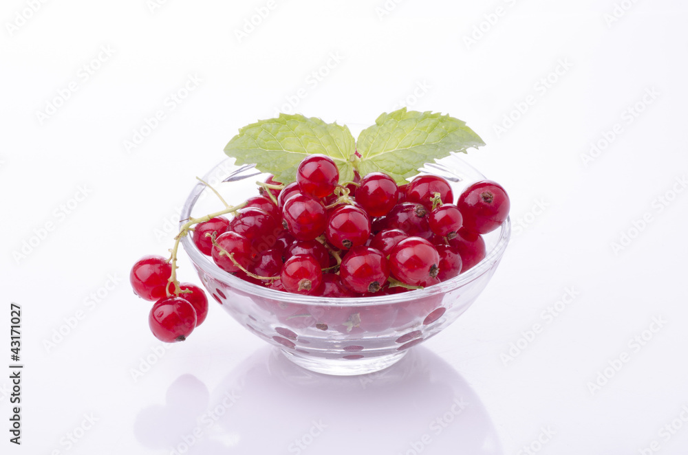 ribes rosso ribes rosso