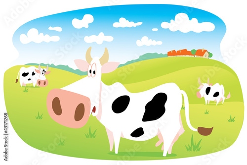 Cows in Meadow