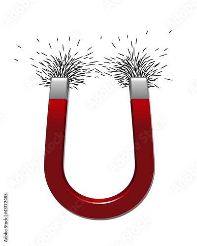 Magnet With Iron Filings