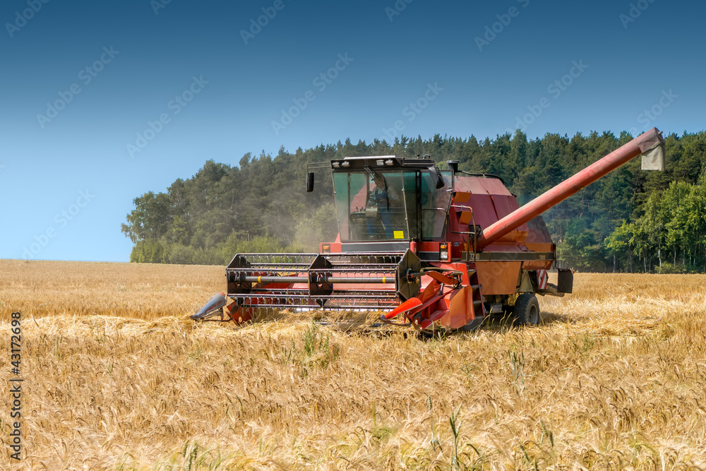 Fototapeta premium mähdrescher