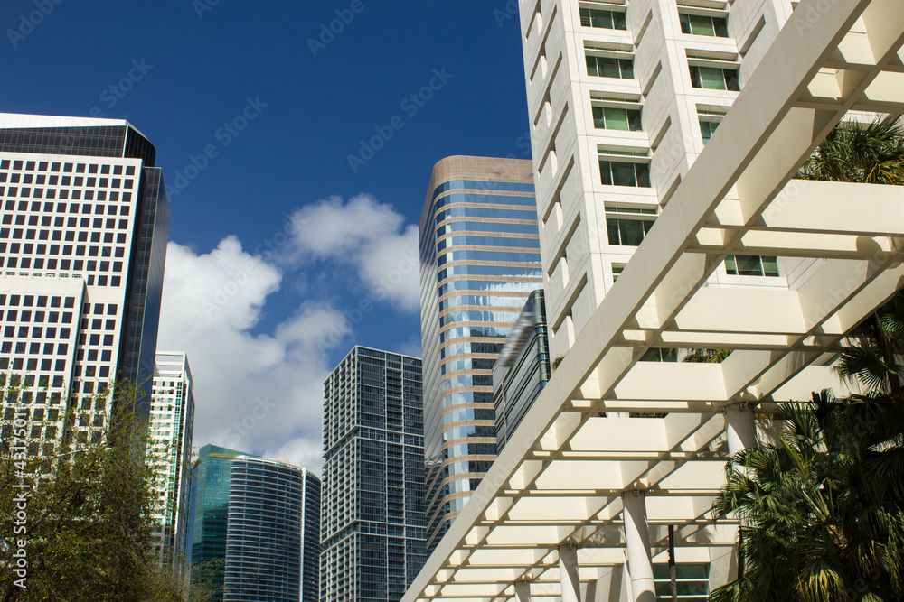 Business buildings in Miami Florida reaching for the sky