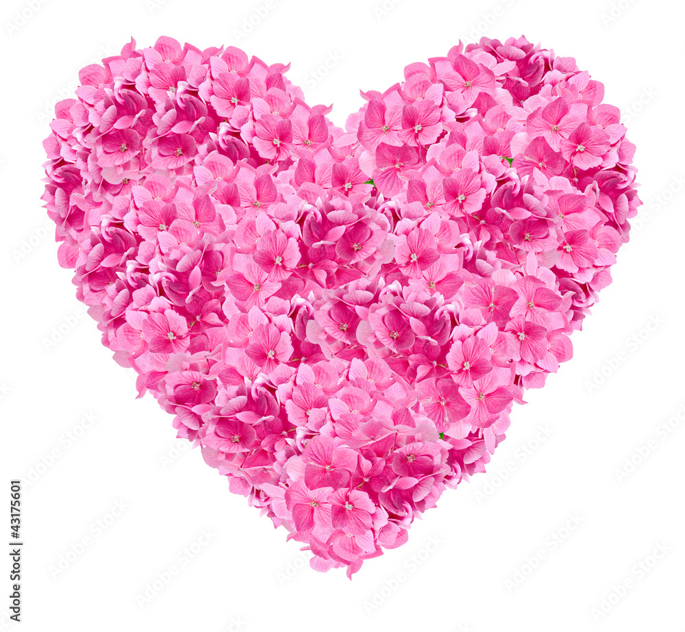 pink heart constructed from pink hydrangea flowers
