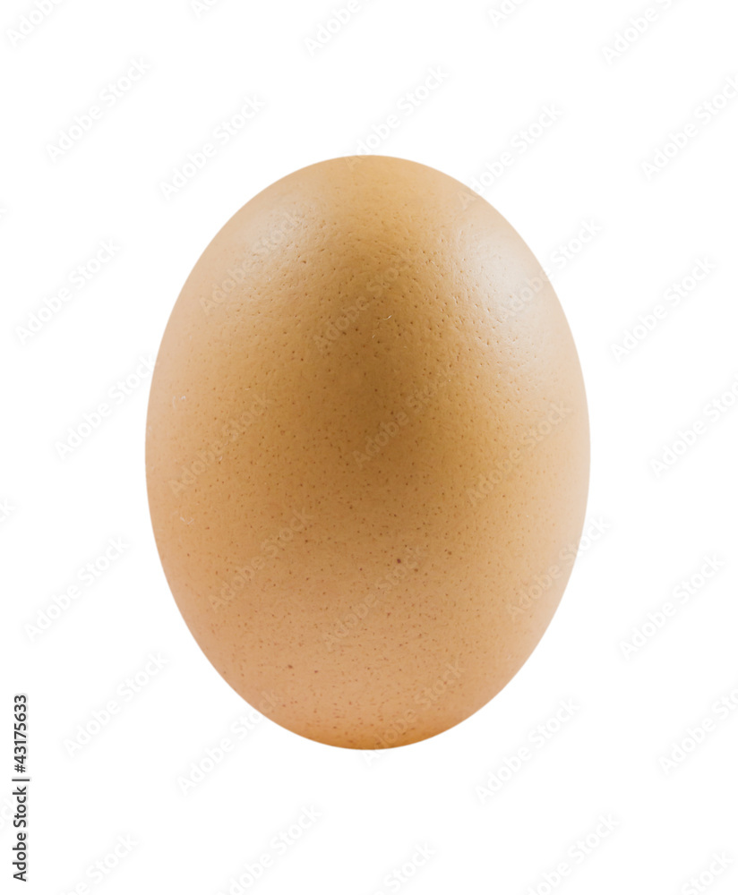 one eggs one eggs