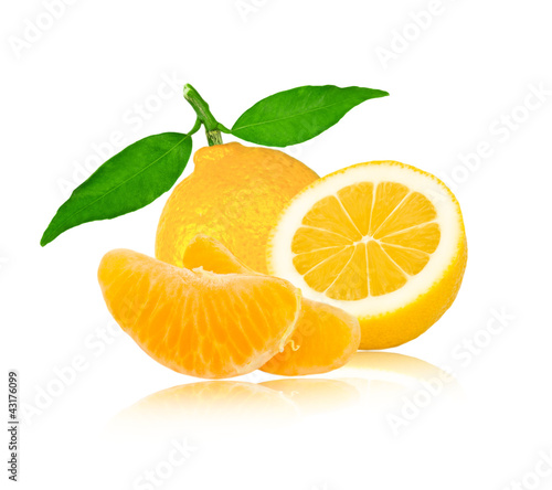 Lemon with leaves and slices isolated on white