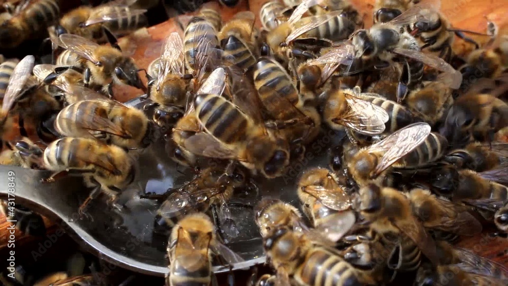 Honey is so even with a spoon Honey is so even with a spoon