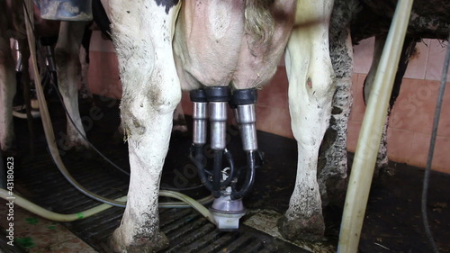 Milking Equipment