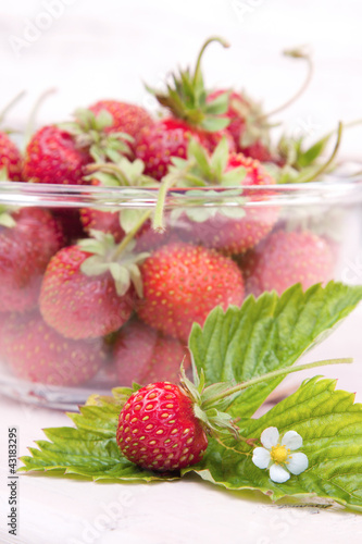 Fresh strawberry  flower and leaves