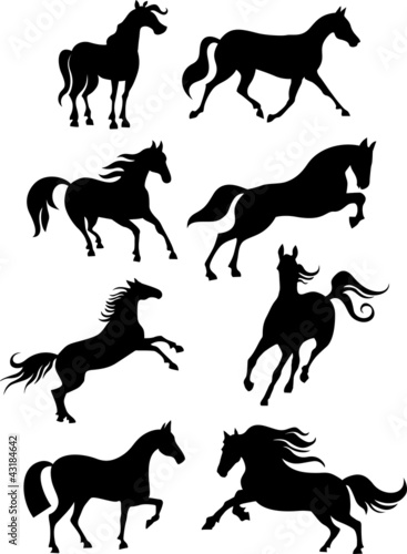 horse set