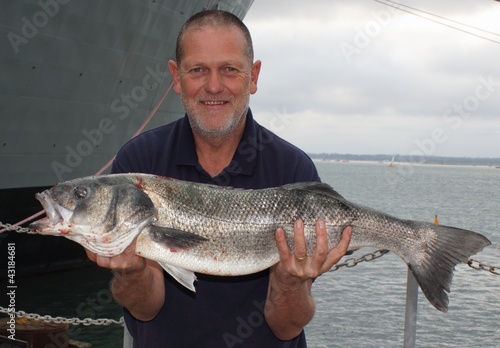 Large rod caught Seabass
