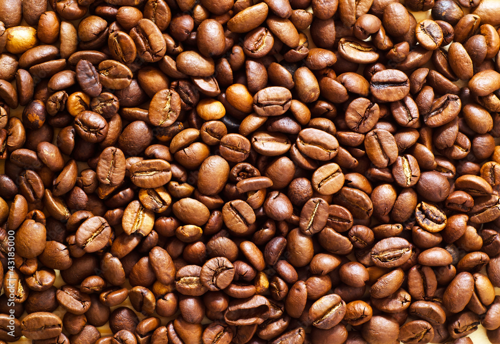 Fototapeta premium coffee