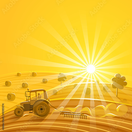 Harvesting on the sunny background