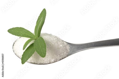 stevia rebaudiana healthy herb on teaspoon photo
