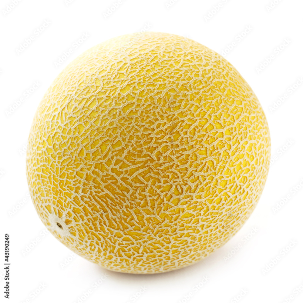 Cantaloupe Melon Cantaloupe Melon