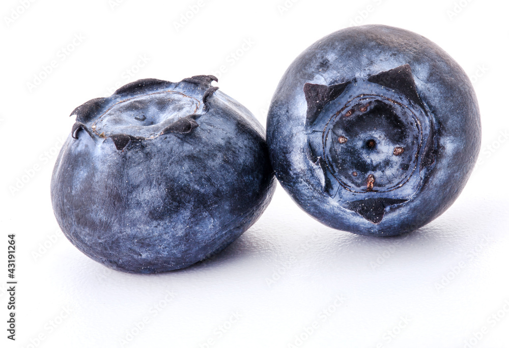 Obraz premium Blueberries isolated on white background