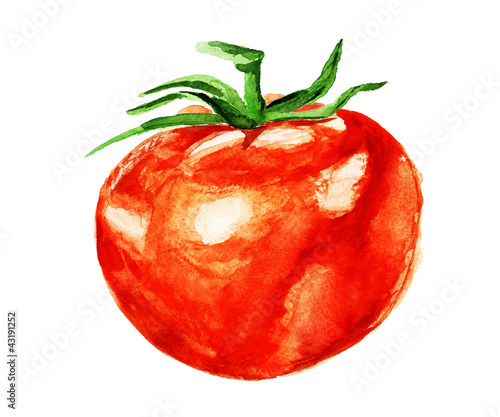 Watercolor tomato