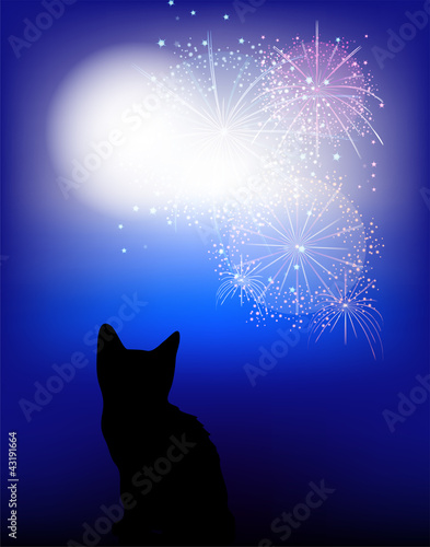little cat watching the moon and fireworks