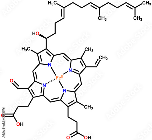 Heme A, the important component of hemoglobin and myoglobin
