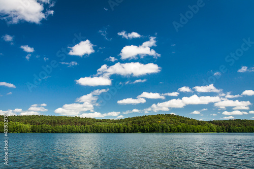 National park lake in summer