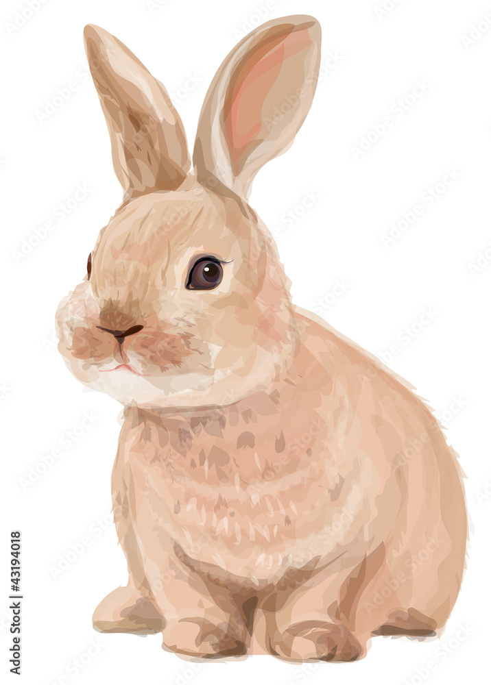 Obraz premium Vector of cute rabbit isolated on white background
