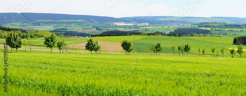 Hunsrück Panorama
