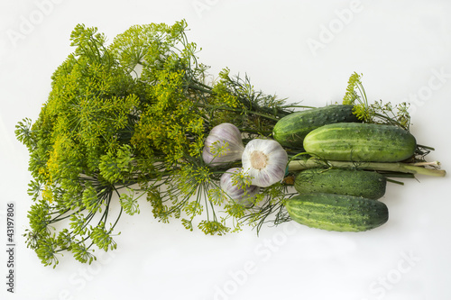 preparation for pickling cucumbers