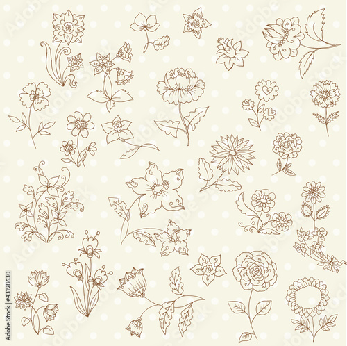 Set of Hand Drawn Flowers - for scrapbook and design in vector