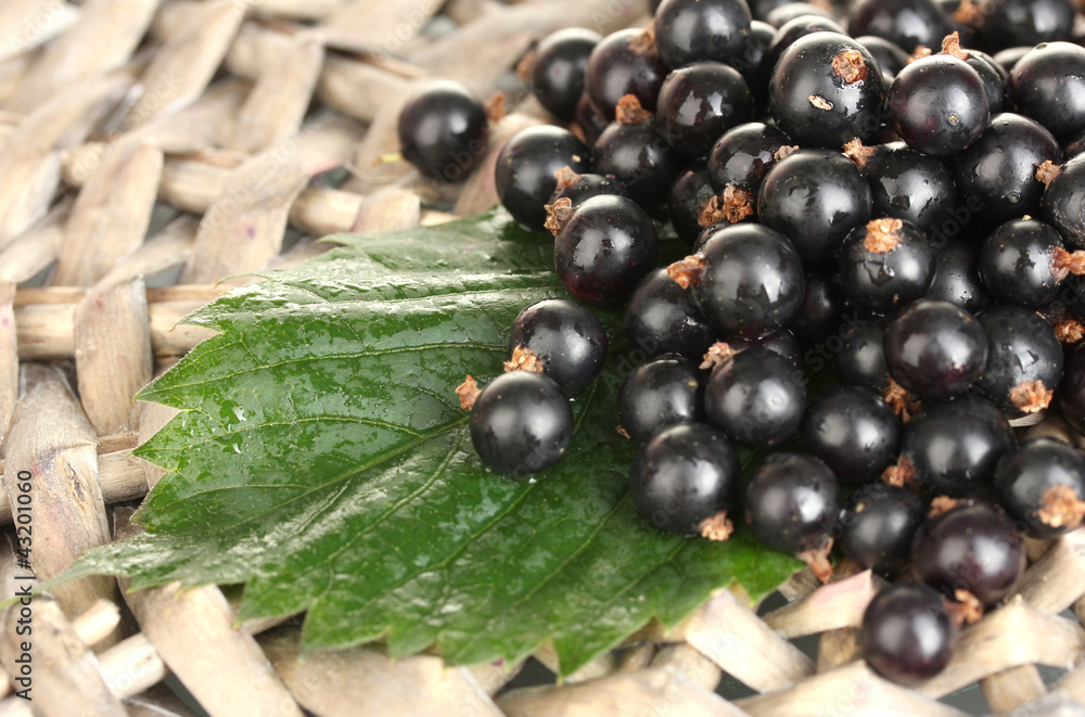 Fresh black currant on wicker mat close-up Fresh black currant on wicker mat close-up
