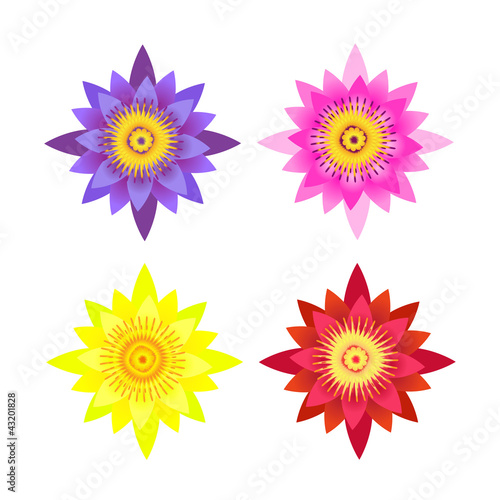 Fototapeta Naklejka Na Ścianę i Meble -  lotus