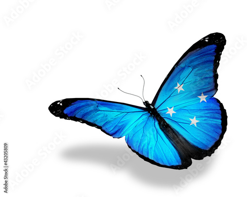 Micronesia flag butterfly flying  isolated on white background