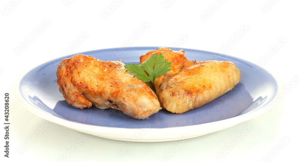 roasted chicken wings with parsley in the plate isolated roasted chicken wings with parsley in the plate isolated