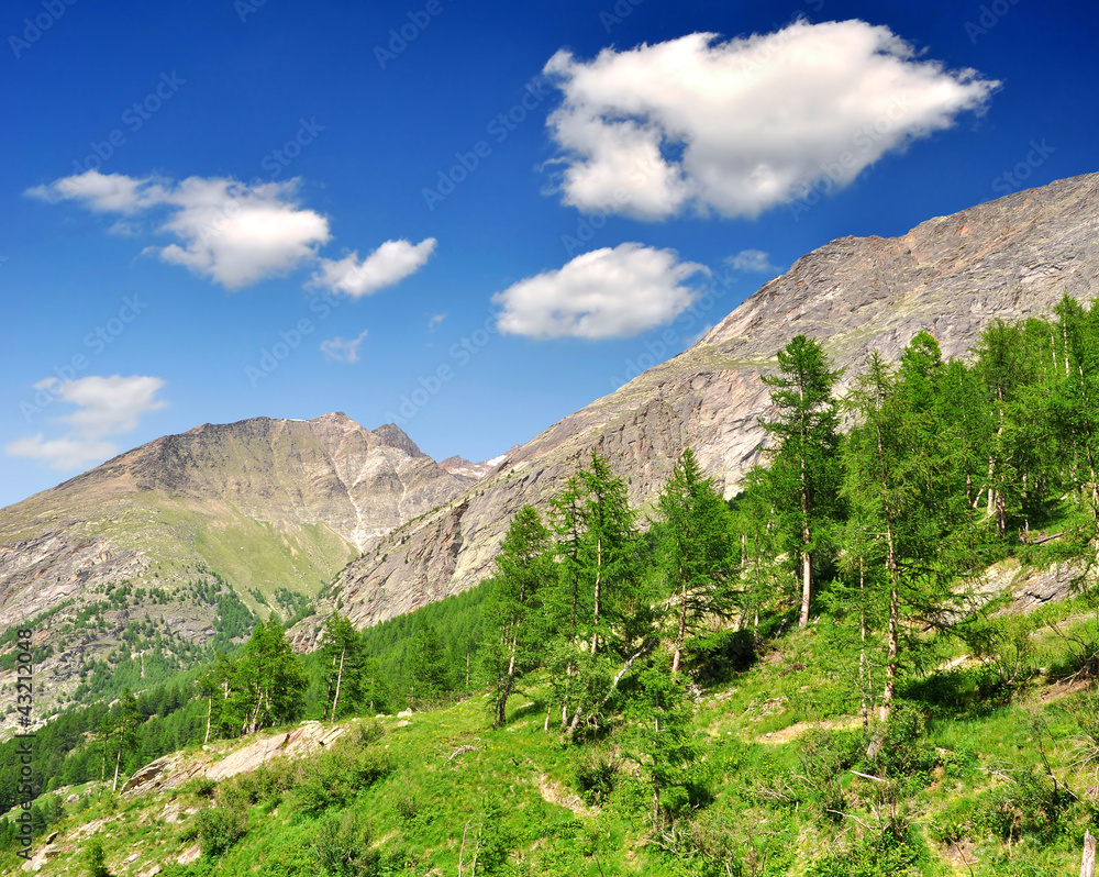 Valley Saastal in the canton Wallis - Swiss Alps