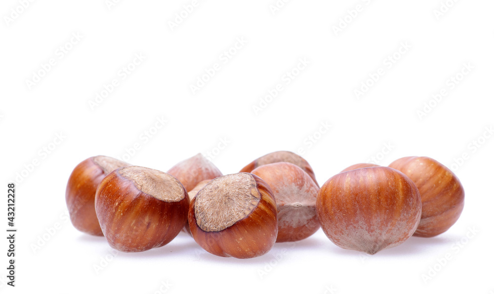hazelnuts hazelnuts