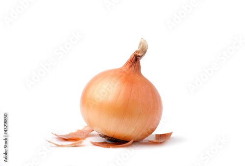 Onion bulb on white background