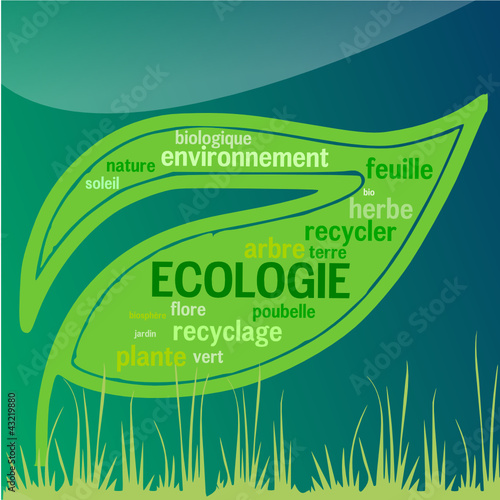 Feuille Ecologie