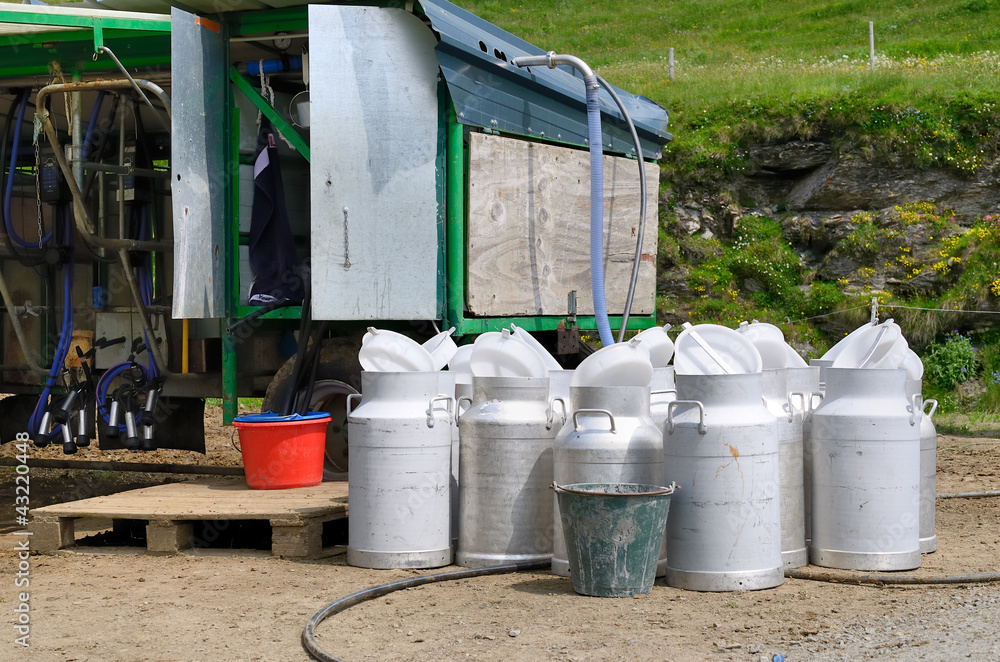 lait,terroir,bidons de lait,agriculture lait,terroir,bidons de lait,agriculture