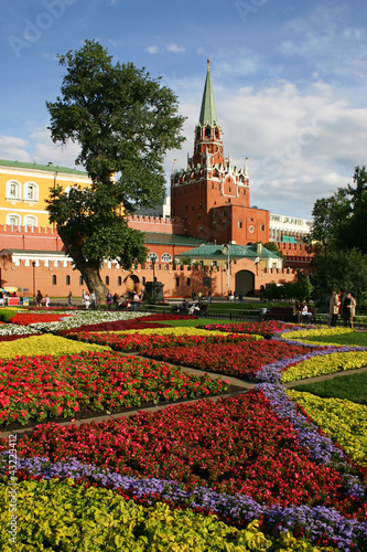 Blumen am Kreml