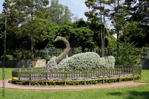 swan built of construktion of flowers in Krynica photo