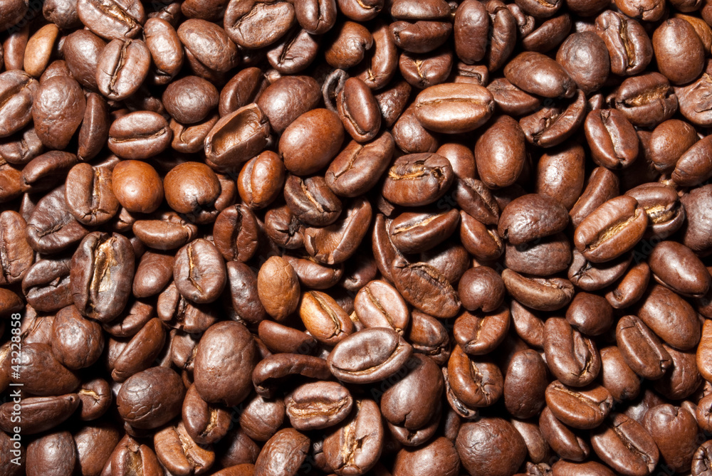 coffee beans background 2 - Kaffee-Bohnen-Hintergrund coffee beans background 2 - Kaffee-Bohnen-Hintergrund
