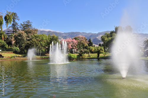 Foto A  sunny day in the park