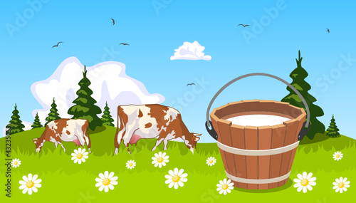 Fototapeta Naklejka Na Ścianę i Meble -  Cow on meadow bucket of milk in the foreground