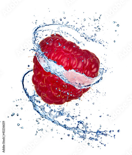 Raspberry with water splash, isolated on white background