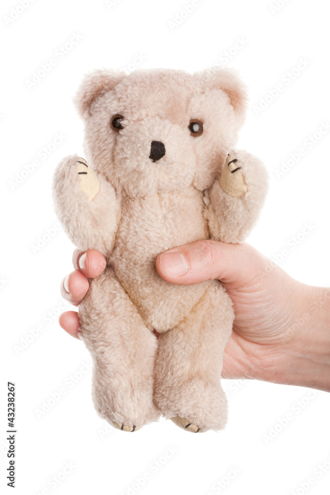 Hand and teddy bear