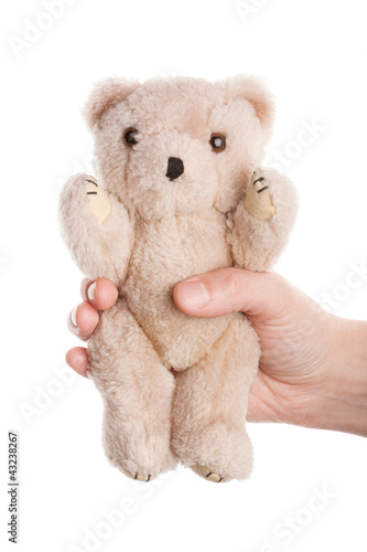 Hand and teddy bear