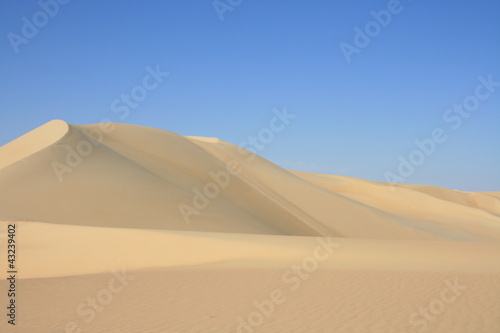 Wydma na pustyni