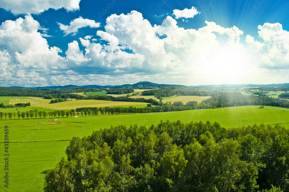 Fototapeta premium nature