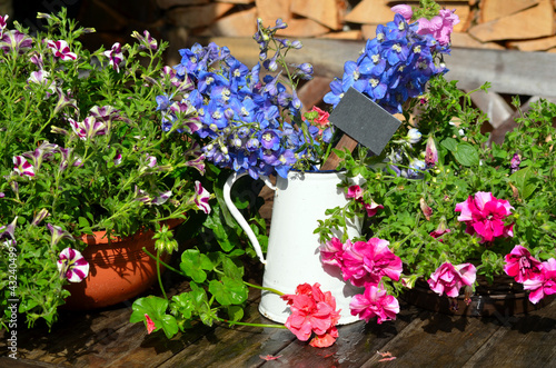Fototapeta Naklejka Na Ścianę i Meble -  bunte Blumen Dekoration im Garten Terrasse