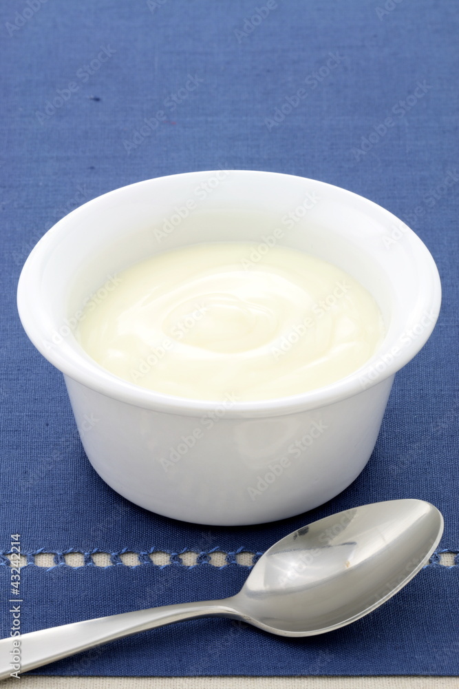 delicious fresh yogurt delicious fresh yogurt